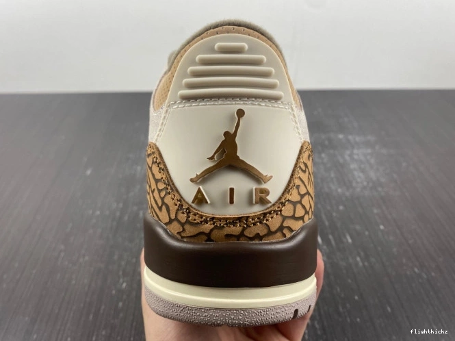 CT8532-102 3 Palomino Jordan Air 1010